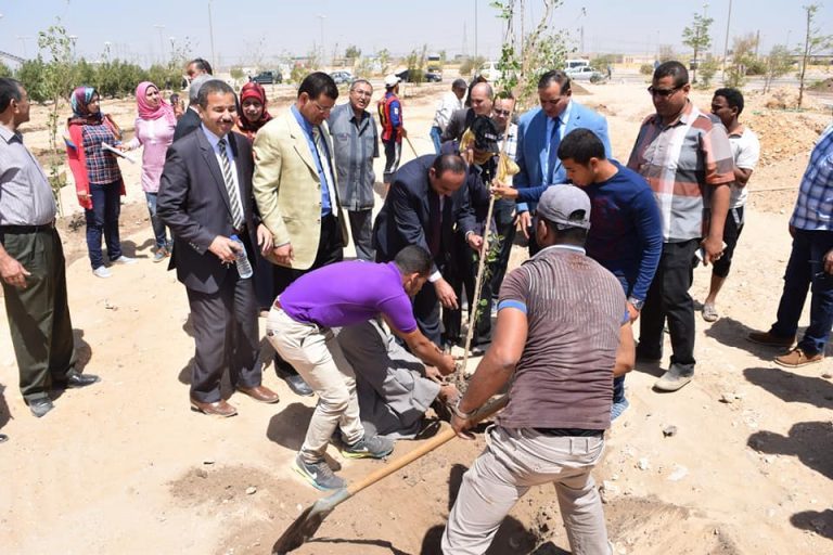رئيس جامعة سوهاج يزرع أشجار التوت بالحرم الجديد