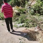 387160702_710597021086965_6757568861479837396_n