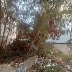 419960656_768294488650551_8431206869027223779_n