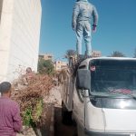 420550650_768298098650190_8329088105383733080_n