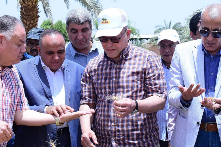 *على مساحة ٤٥ فدان*..   *رئيس جامعة سوهاج يشهد موسم حصاد تقاوي القمح الأفضل جودة والأعلى إنتاجية لخدمة مزارعي المحافظة*