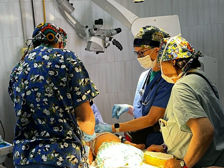 The American Medical Convoy “Alliance for a Smile” Treats and Performs Surgeries for 70 Children with Cleft Lip at Sohag University Hospital