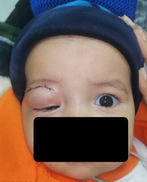 483369193_1186316616835328_937908907601048827_n